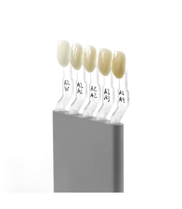 My Shade Guide Mini Kit