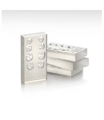 Set of 4 posterior silicone moulds