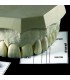 Golden Section Divider Set